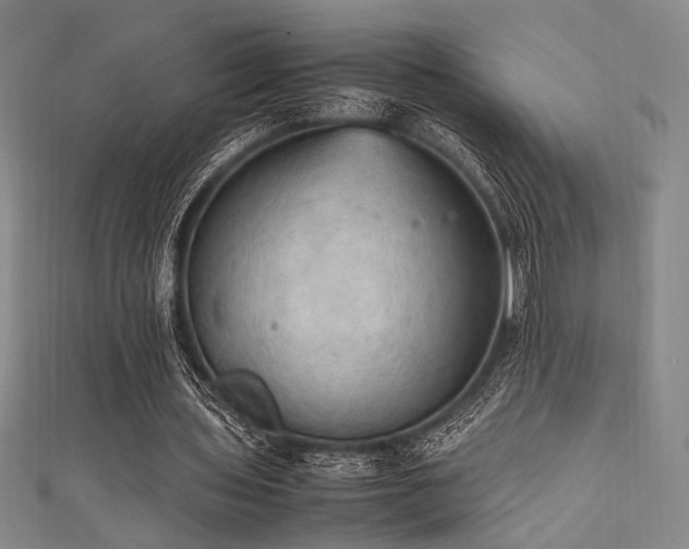 X0000111860435200907231455
