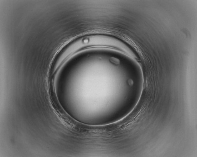 X0000111860436200907231455