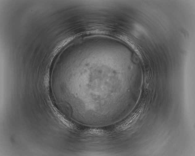 X0000111860437200907231455