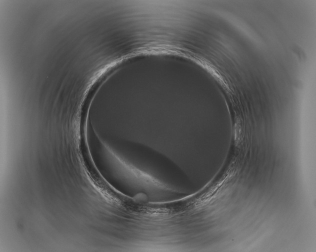 X0000111860438200907231455