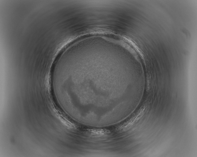 X0000111860439200907231455