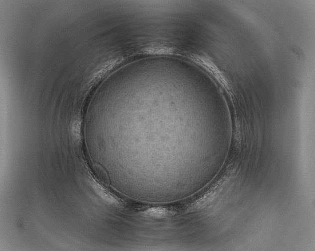 X0000111860441200907231455