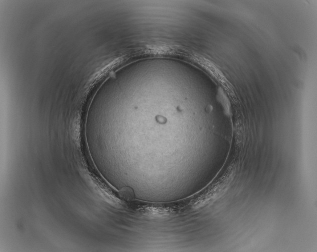 X0000111860442200907231455