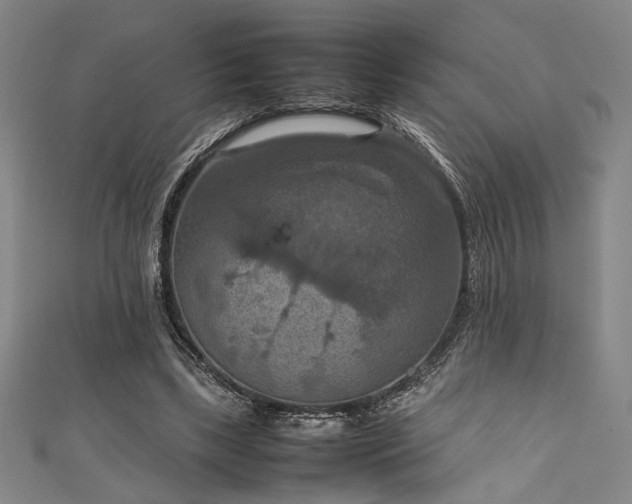 X0000111860443200907231455