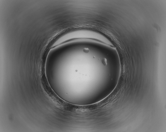 X0000111860444200907231455