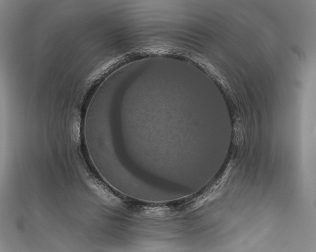 X0000111860446200907231455