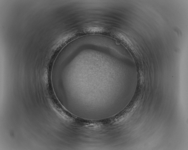 X0000111860447200907231455