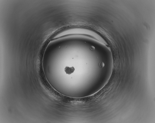 X0000111860448200907231455