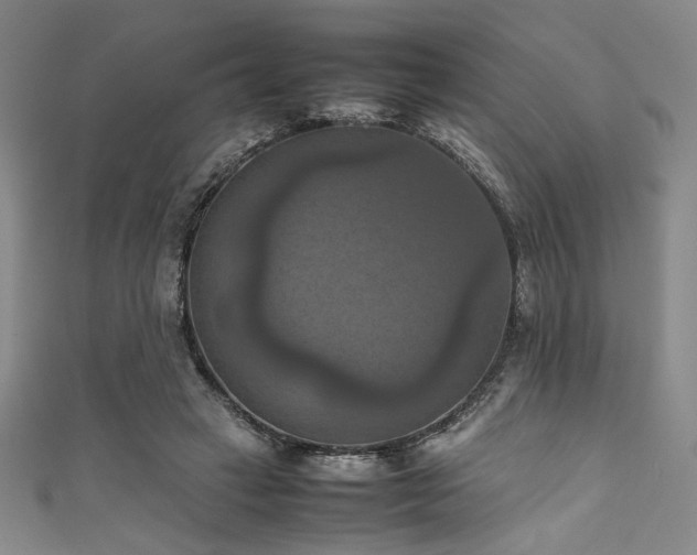 X0000111860449200907231455