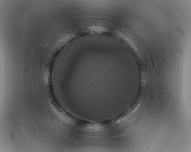 X0000111860451200907231455