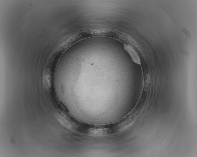 X0000111860452200907231455