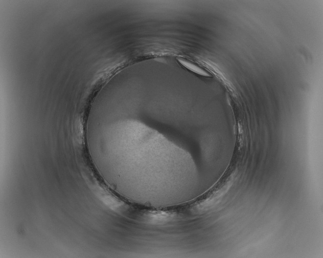 X0000111860453200907231455