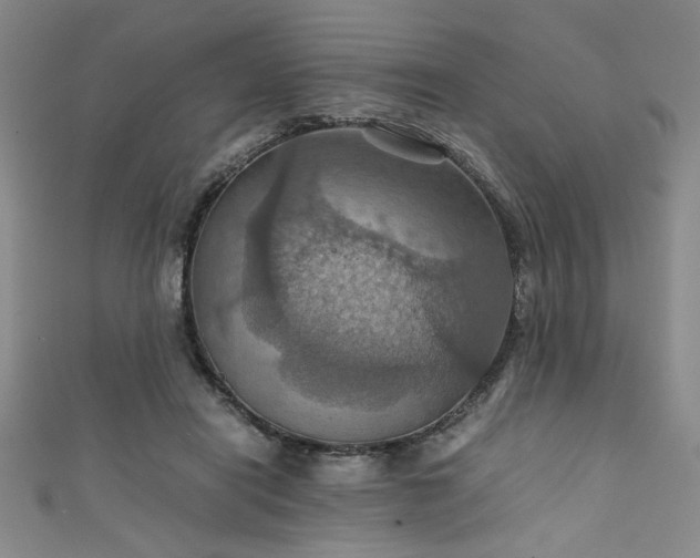 X0000111860454200907231455