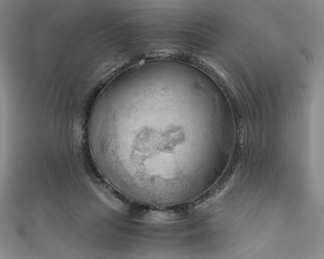 X0000111860455200907231455