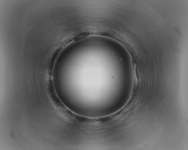 X0000111860456200907231455