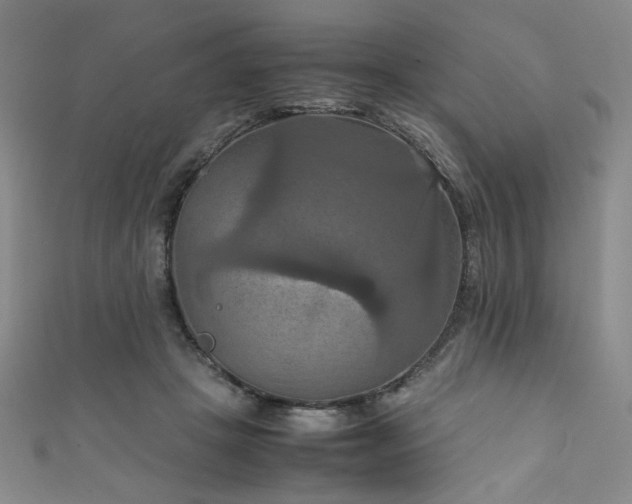 X0000111860457200907231455