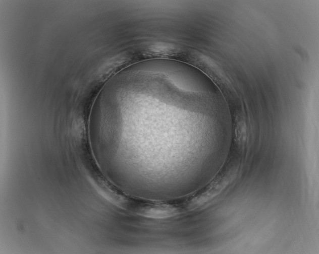 X0000111860459200907231455
