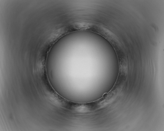 X0000111860460200907231455