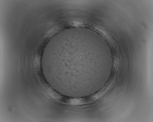 X0000111860461200907231455