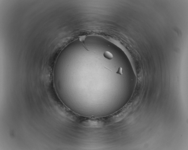 X0000111860464200907231455