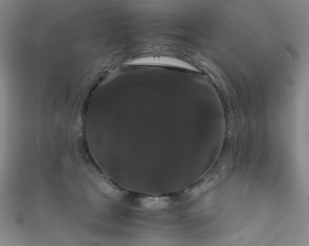 X0000111860465200907231455