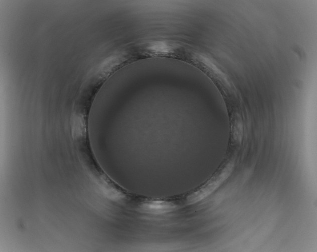X0000111860467200907231455