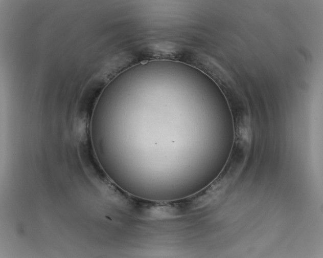 X0000111860468200907231455