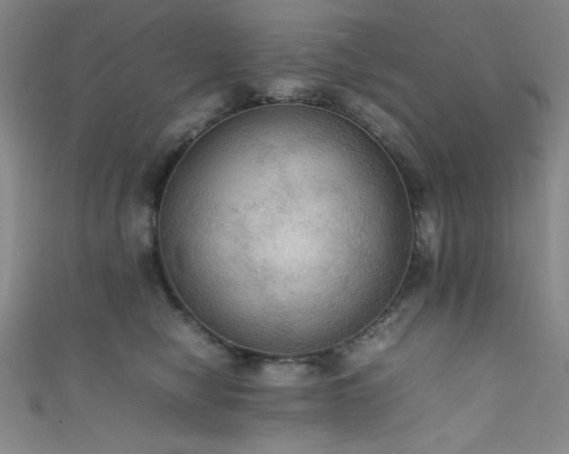 X0000111860470200907231455