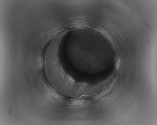 X0000111860471200907231455