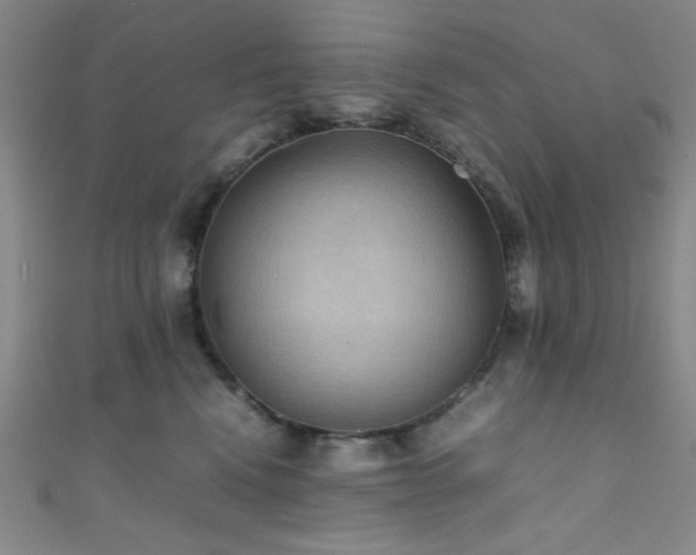 X0000111860472200907231455