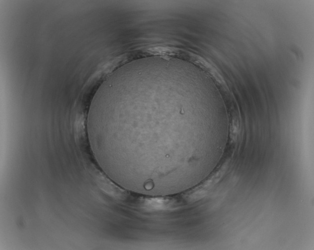 X0000111860473200907231455