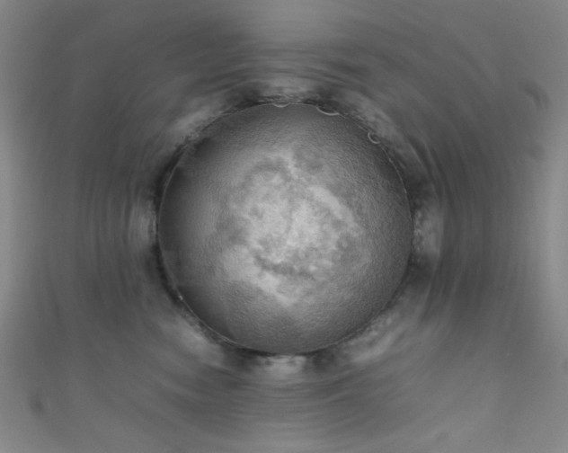 X0000111860474200907231455
