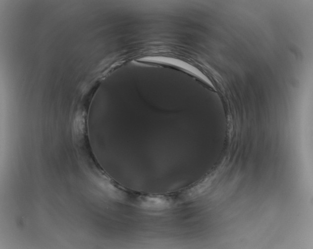 X0000111860475200907231455