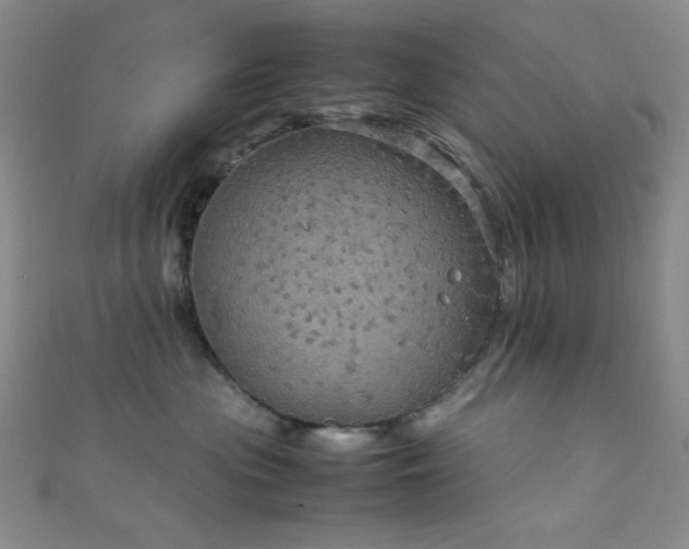 X0000111860477200907231455