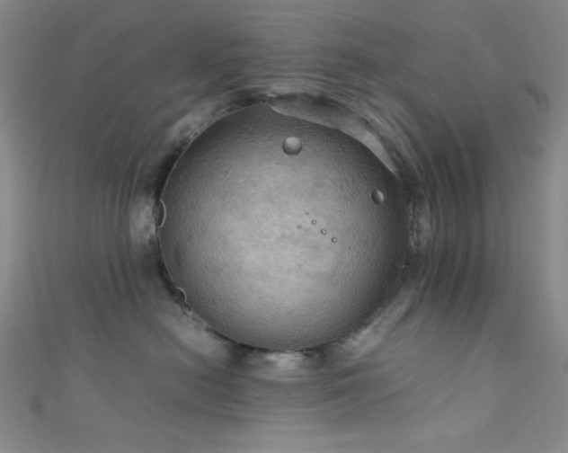 X0000111860478200907231455