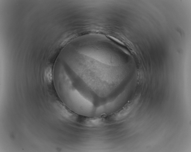 X0000111860479200907231455
