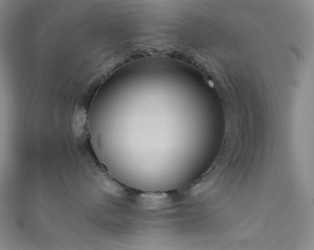 X0000111860480200907231455