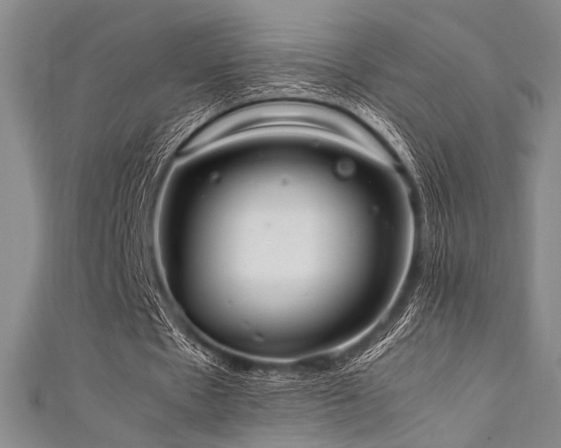 X0000111860481200907231455
