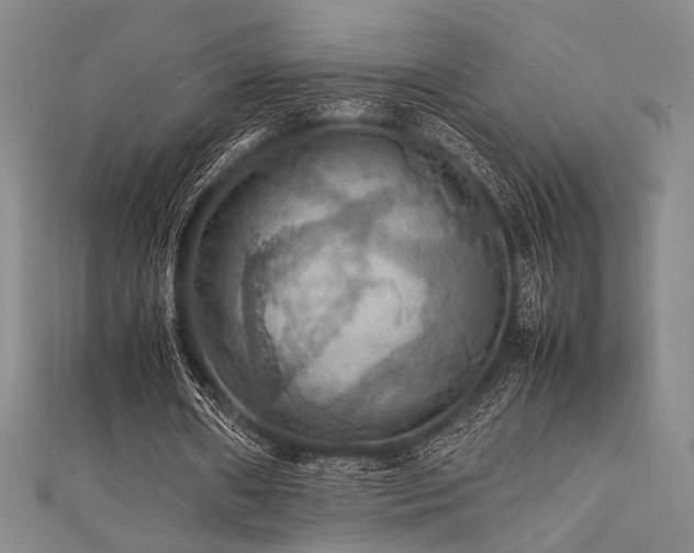 X0000111860482200907231455