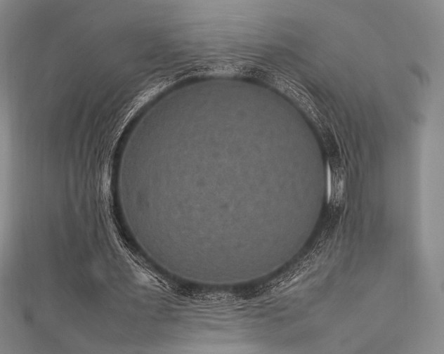 X0000111860483200907231455