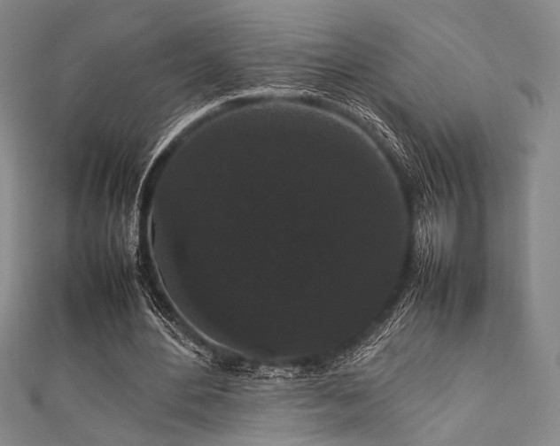 X0000111860484200907231455