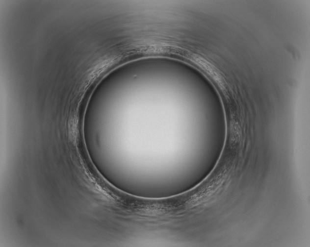 X0000111860485200907231455