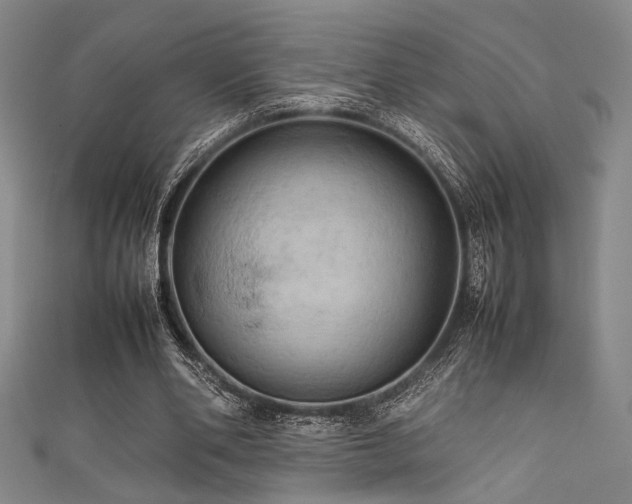 X0000111860486200907231455