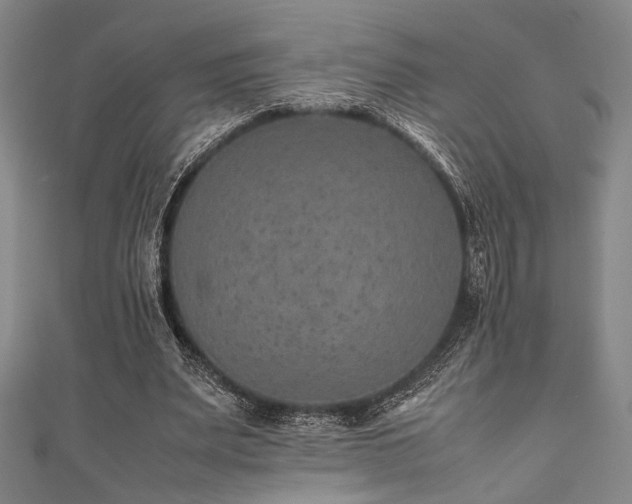 X0000111860487200907231455
