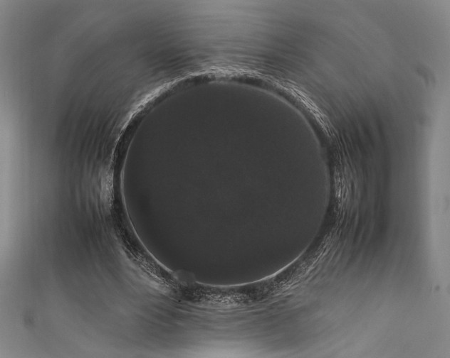 X0000111860488200907231455
