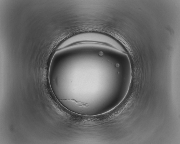 X0000111860489200907231455