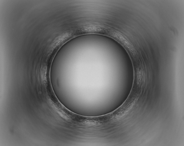 X0000111860490200907231455