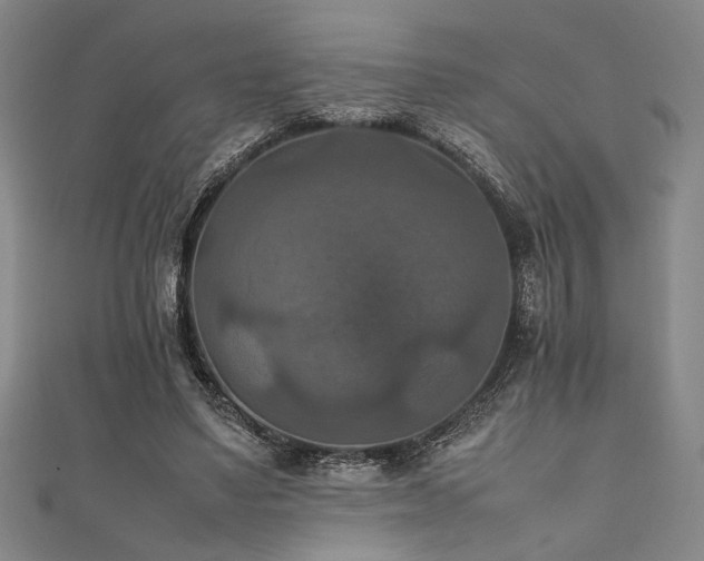 X0000111860491200907231455