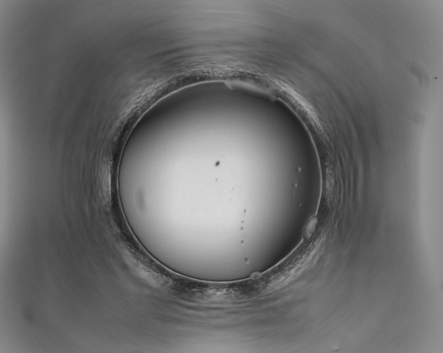 X0000111860493200907231455