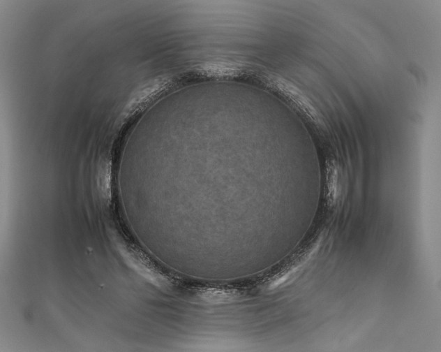 X0000111860494200907231455